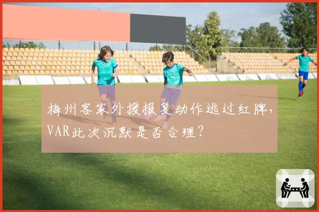 梅州客家外援报复动作逃过红牌，VAR此次沉默是否合理？