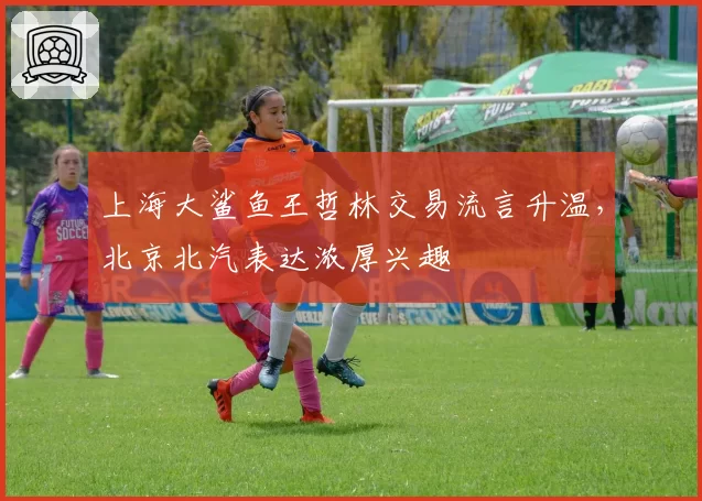 上海大鲨鱼王哲林交易流言升温，北京北汽表达浓厚兴趣