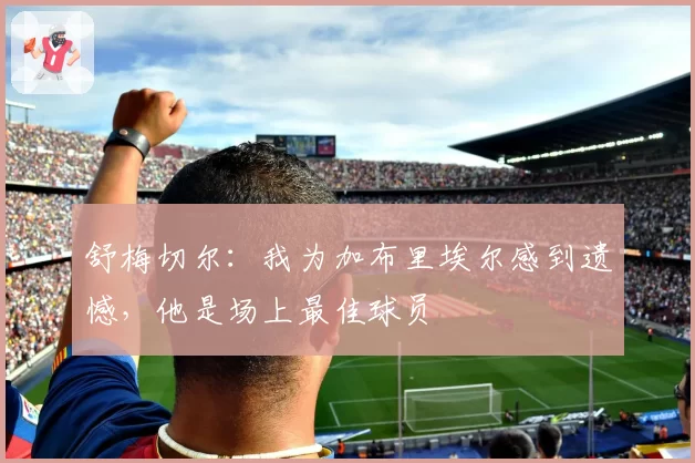 舒梅切尔:我为加布里埃尔感到遗憾,他是场上最佳球员