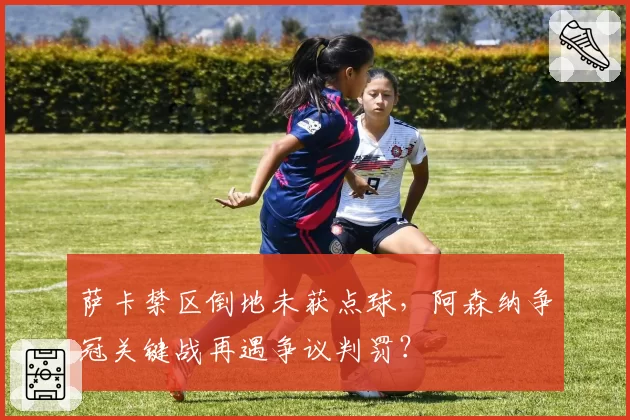 萨卡禁区倒地未获点球，阿森纳争冠关键战再遇争议判罚？
